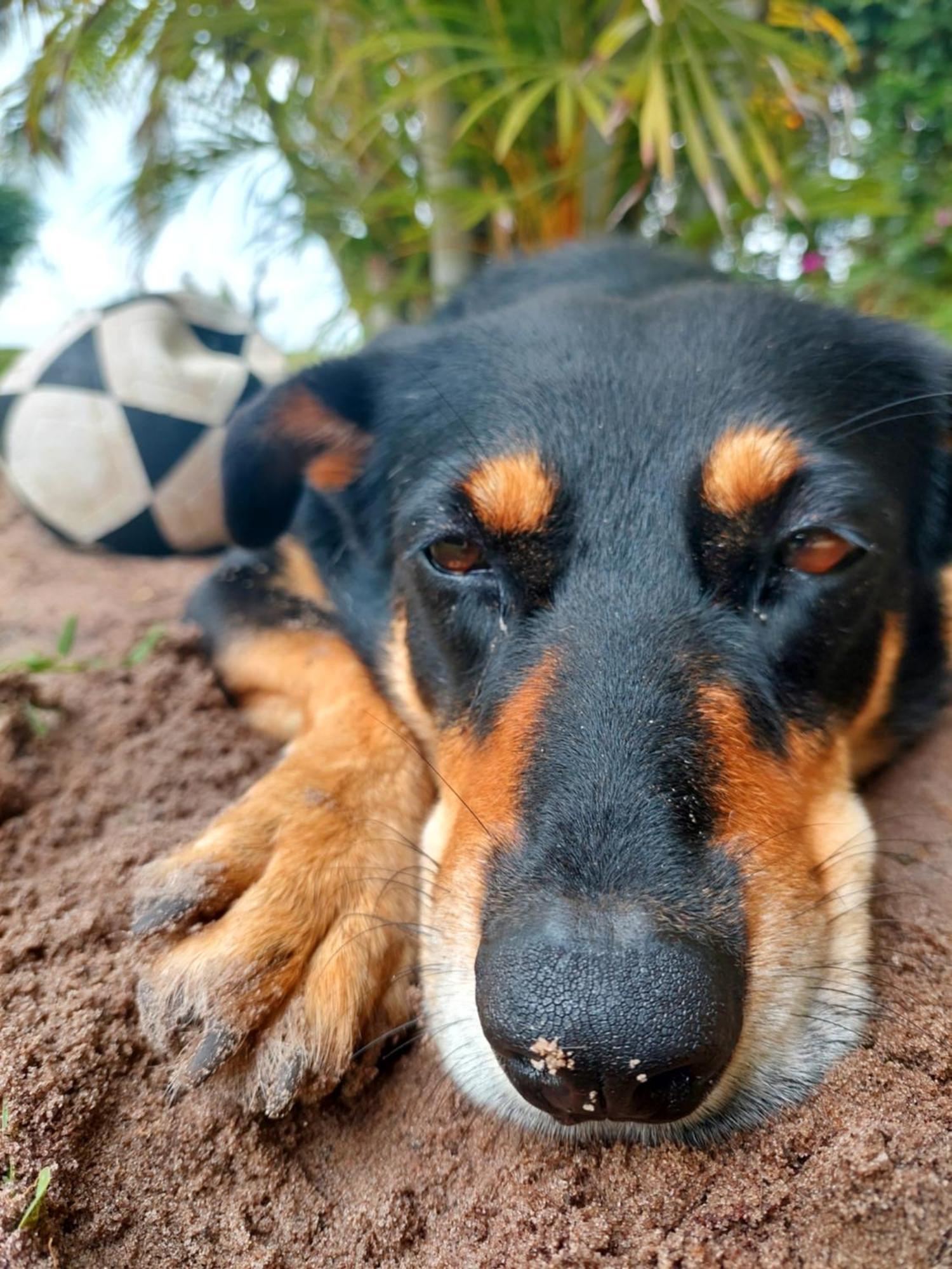 Casa Babi Bed & Breakfast วิลันคูลอส ภายนอก รูปภาพ
